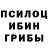 Галлюциногенные грибы прущие грибы Erick Moore