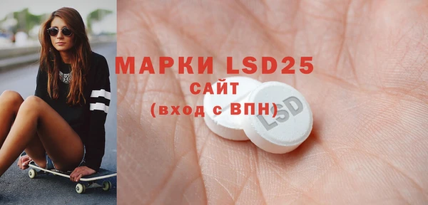 индика Балахна