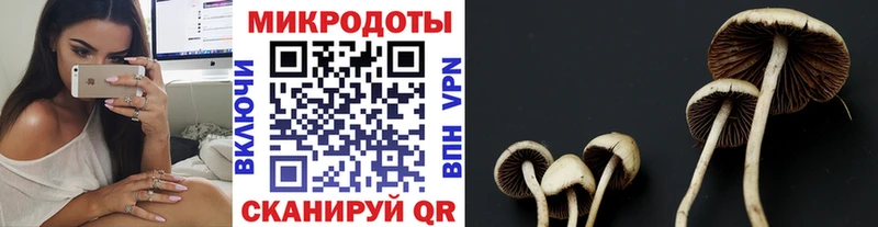 купить  сайты  блэк спрут зеркало  Псилоцибиновые грибы MAGIC MUSHROOMS  Балей 