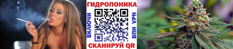 Каннабис конопля  наркошоп  Балей 
